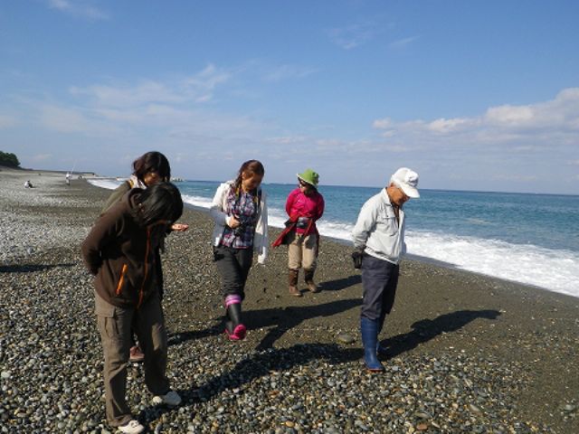 ヒスイ海岸でヒスイ探し！郷土料理のタラ汁御膳のランチ付きのプラン詳細